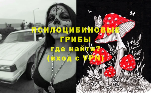 ГАЛЛЮЦИНОГЕННЫЕ ГРИБЫ Арсеньев
