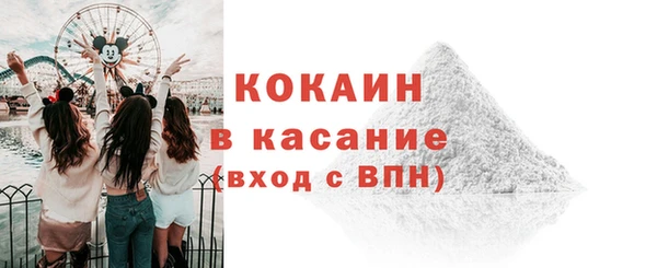 ГАЛЛЮЦИНОГЕННЫЕ ГРИБЫ Арсеньев