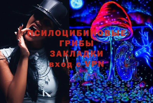 ГАЛЛЮЦИНОГЕННЫЕ ГРИБЫ Арсеньев